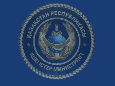 ІІМ: Заңсыз көші-қон арналары жойылды