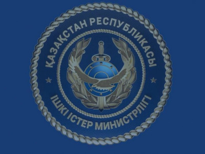 Жетісуда полиция трансұлттық ұйымдасқан қылмыстық топты ұстады