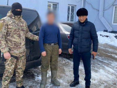 Алматы облысында 41 ұсақ малды ұрлады деген күдікпен ер адам ұсталды