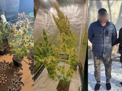 Алматы облысында ірі көлемде есірткі мен заңсыз қару тәркіленді