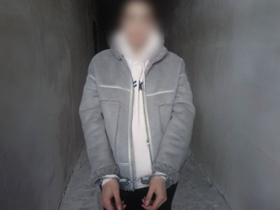 Алаяқтық үшін іздеуде жүрген қыз Бішкекте ұсталды
