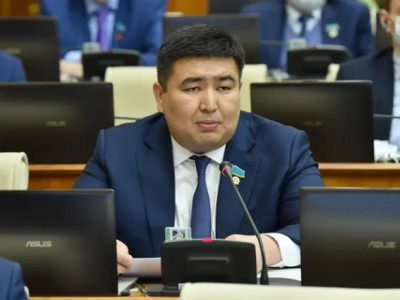 Еліміздегі жұмыссыздықты есептейтін әдістеме дұрыс емес – депутат жүйелі стратегия әзірлеуді ұсынды