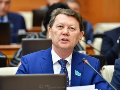 Көлеңкелі экономикаға қай мекеме жауап беретіні белгісіз – депутат