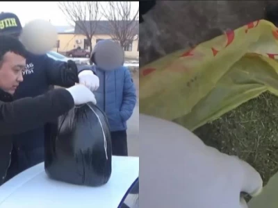 Түркістан облысында полиция жолаушыдан 3 келі марихуана тәркіледі