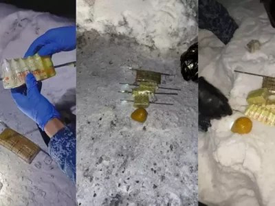 ШҚО-дағы түрмеге тыйым салынған заттарды өткізбекші болған күдіктілер ұсталды