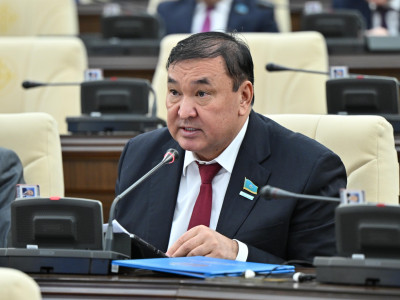 Мәжіліс депутаты жекеменшік балабақшаларға салынатын айыппұлды азайтуды ұсынды