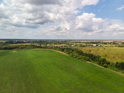 Шымкентте 54,7 га жер мемлекет меншігіне қайтарылды