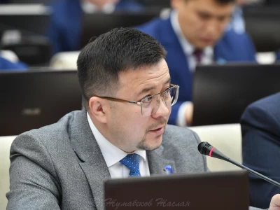 Депутат балалардың интернетті қолдануын қадағалайтын бірыңғай мемлекеттік бақылау жүйесін құруды ұсынды