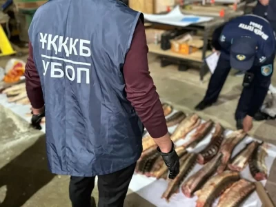Атырау тұрғынының көлігінен 1,5 келі бекіре уылдырығы тәркіленді