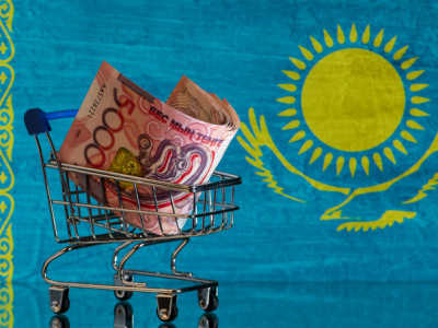 Елдің болашағы үшін әділ және тиімді салық жүйесін жасау керек – Президент