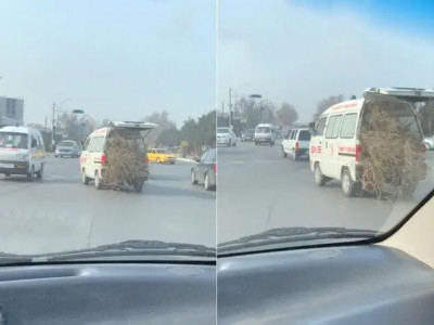 Жедел жәрдем көлігімен отын тасыған жүргізуші қызметінен босатылды