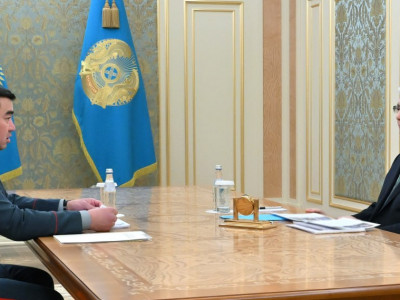 Мемлекет басшысы Төтенше жағдайлар министрін қабылдады