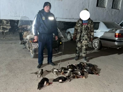 Қызылорда облысында 14 үйрек аулаған екі азамат ұсталды