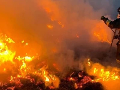 Батыс Қазақстан облысында 4 тонна шөп өртеніп кетті