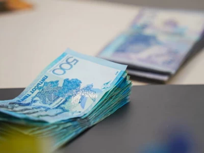 Департамент басшысы 1 млн теңге пара алды деген күдікке ілінді