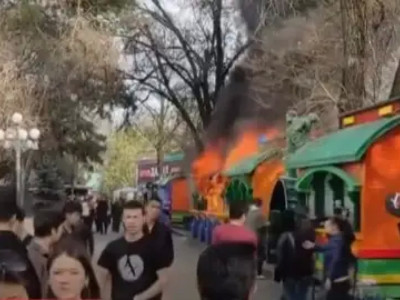 Алматыдағы Орталық демалыс саябағында өрт шықты