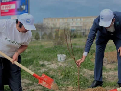 «Таза бейсенбі»: өңірлерде көгалдандыру жұмыстары басталды