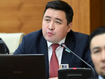 Депутат «патронаж медбике» лауазымын енгізуді ұсынды