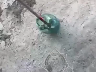 Құтқарушылар тұрғынның үйінен 2 жыланды ұстады