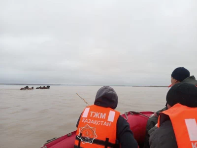 Ақмола облысында судың ортасында қалған бір үйір жылқы құтқарылды