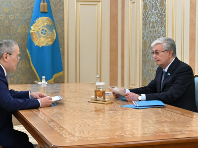 Президент Қаржылық мониторинг агенттігінің төрағасы Жанат Элимановты қабылдады