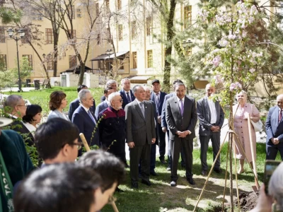 Ұлттық ғылым академия ауласына сакура ағаштары отырғызылды