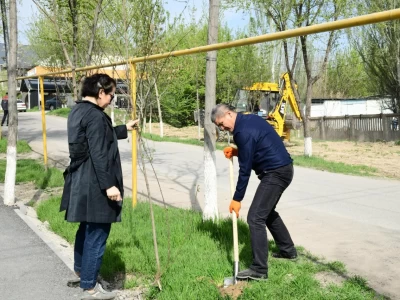 “Таза Қазақстан”: 74,1 мың жасыл желек отырғызылды