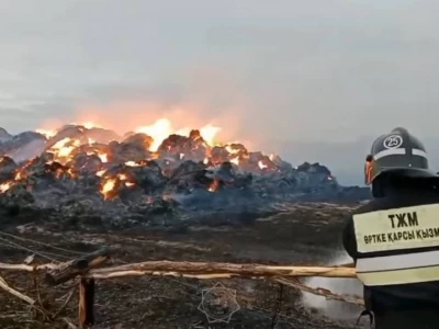 Шығыс Қазақстанда 150 тонна шөп өртеніп кетті