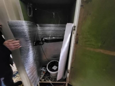 Қостанай облысында үйінде есірткі өсірген азамат ұсталды