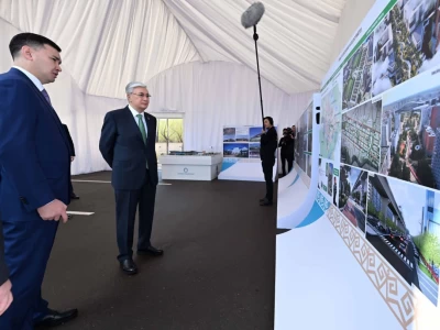 Президентке Астананы абаттандыру жоспары таныстырылды