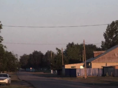 Шымкенттегі жеке тұрғын үйлердің аумағында жылан қаптады