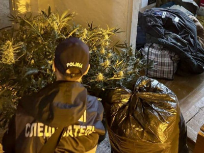 «Биіктігі 1 метрге дейін жетеді»: Батыс Қазақстан тұрғыны үйінде есірткі өсірген
