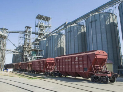 Жаңа астық өнімінің экспорты 7,6 млн тоннаға жетті