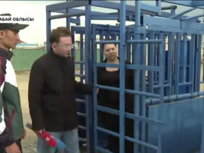 Абай облысының 22 жастағы тұрғыны мал дәрігерлерінің жұмысын жеңілдететін құрылғы ойлап тапты