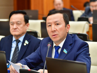 "Дәрі-дәрмек нарығының 80%-ы – шетел өнімдері": Депутат отандық өндірісті дамыту қажет екенін айтты