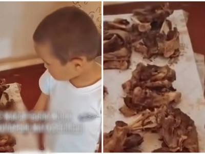 Жілік атауларын жатқа білетін 2 жасар бала көпті таңғалдырды (ВИДЕО)