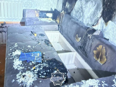 Солтүстік Қазақстанда тұрғын үйге найзағай түсіп, өрт шықты