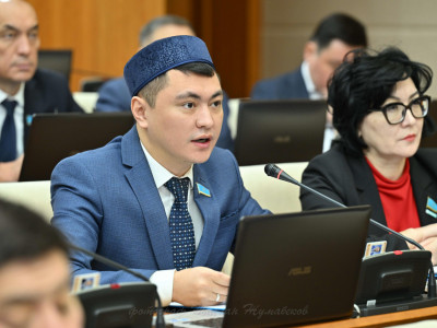 Дәулет Мұқаев: Әрбір оныншы қазақстандық бүйрек ауруына шалдыққан, бірақ көбіне диагноз қойылмайды