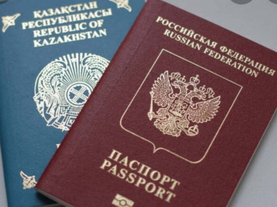 Қос азаматтығы бар 12 адам жауапқа тартылды