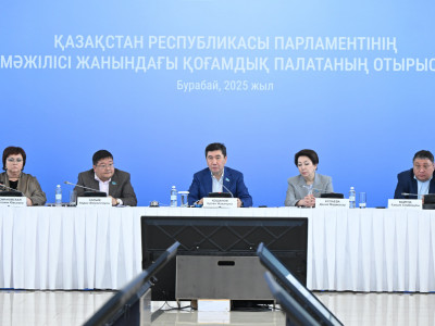 Қоғамдық палатаның көшпелі отырысында тұрмыстағы зорлық-зомбылық туралы заңның іске асырылуы талқыланды