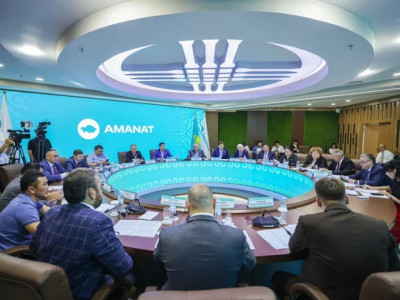 «AMANAT» партиясы автокөлік контрабандасына қарсы күресті күшейтуді талап етуде