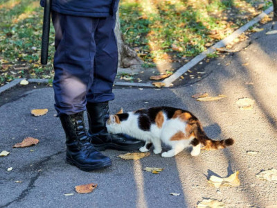 Жетісуда өзенге секіріп, өзіне қол жұмсамақ болған қызды полицейлер құтқарып қалды