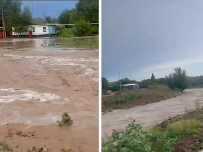 Жетісу облысында Сарыөзек ауылын су басты