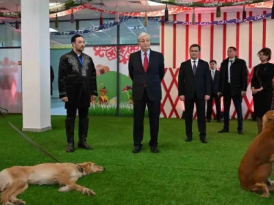 Президент тазы мен төбетті ұлттық бренд ретінде кеңінен насихаттауды тапсырды