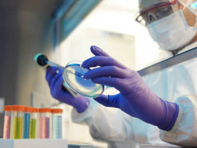 Дәрігер Қытайда таралып жатқан чикунгунья вирусының қауіпті бір белгісін атады