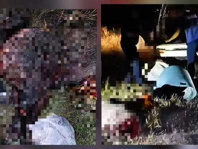 Батыс Қазақстанда қабандарды заңсыз аулаған азамат ұсталды