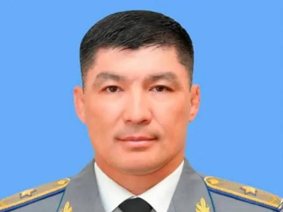 Роман Төреханов Бокс федерациясының Құрметті президенті болып сайланды
