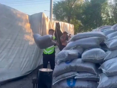 Жетісу облысында 35 тонна күнбағыс дәні тиелген жүк көлігі аударылды