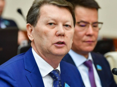 "Белгілі бір топ пайда көріп отыр": депутат көлікті техникалық тексеруден өткізу жүйесін сынады