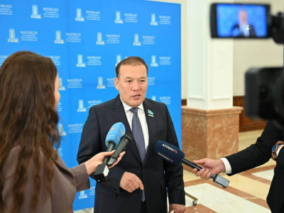 Президент елдің дамуына тың серпін беретін бағыт-бағдарды айқындап берді – депутат